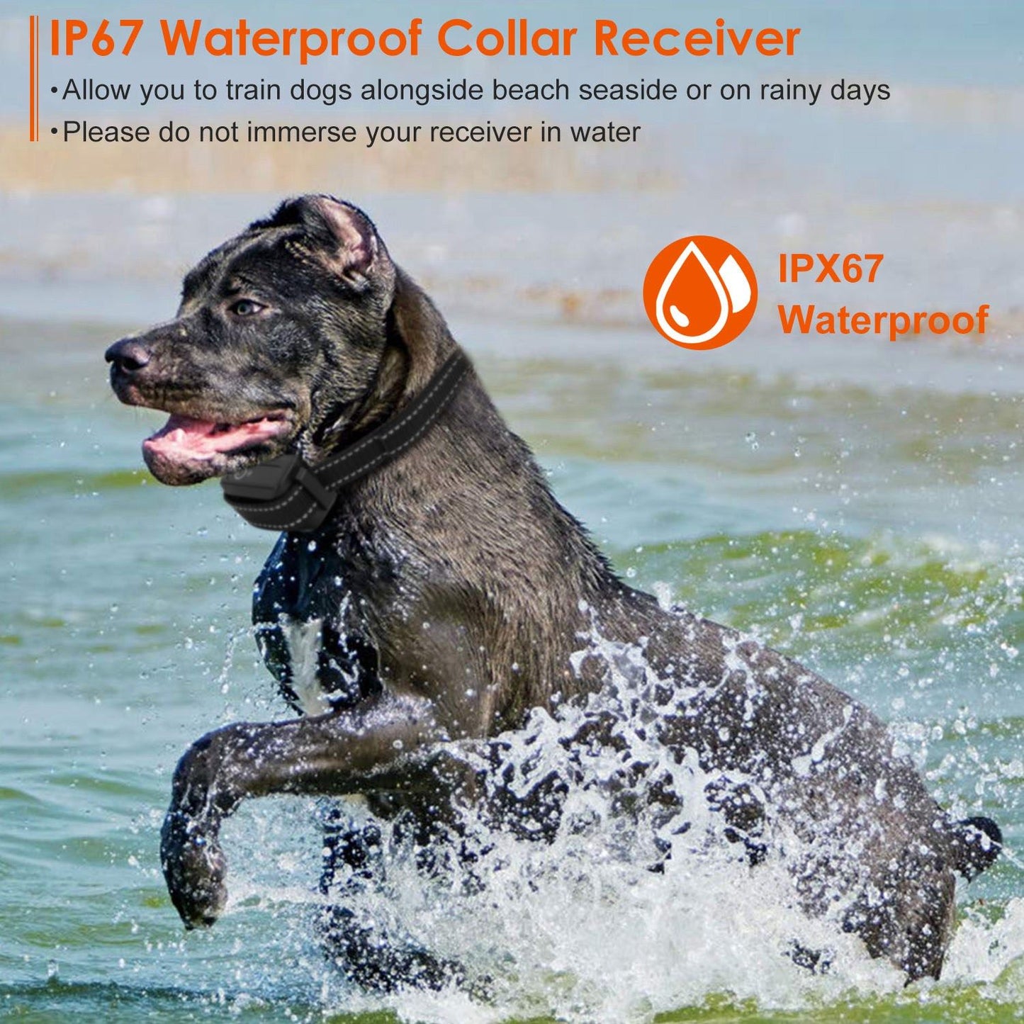Dog wearing IP67 waterproof training collar splashing in water, showcasing 3280FT range with beep, vibration, and electric shock modes.