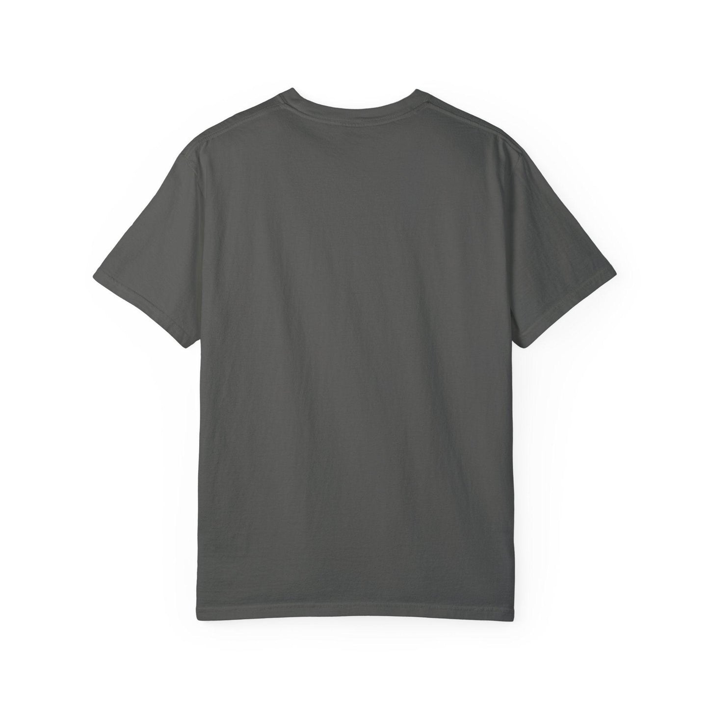 Back view of Everybody at the Bar Gettin Tipsy Unisex Garment-Dyed T-Shirt in gray