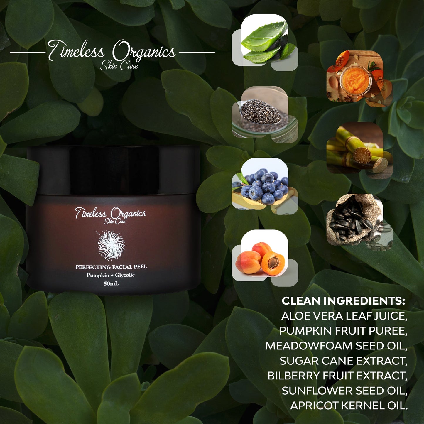 Pumpkin + Glycolic Facial Peel with natural ingredients like pumpkin fruit puree, meadowfoam seed oil, and bilberry fruit extract.