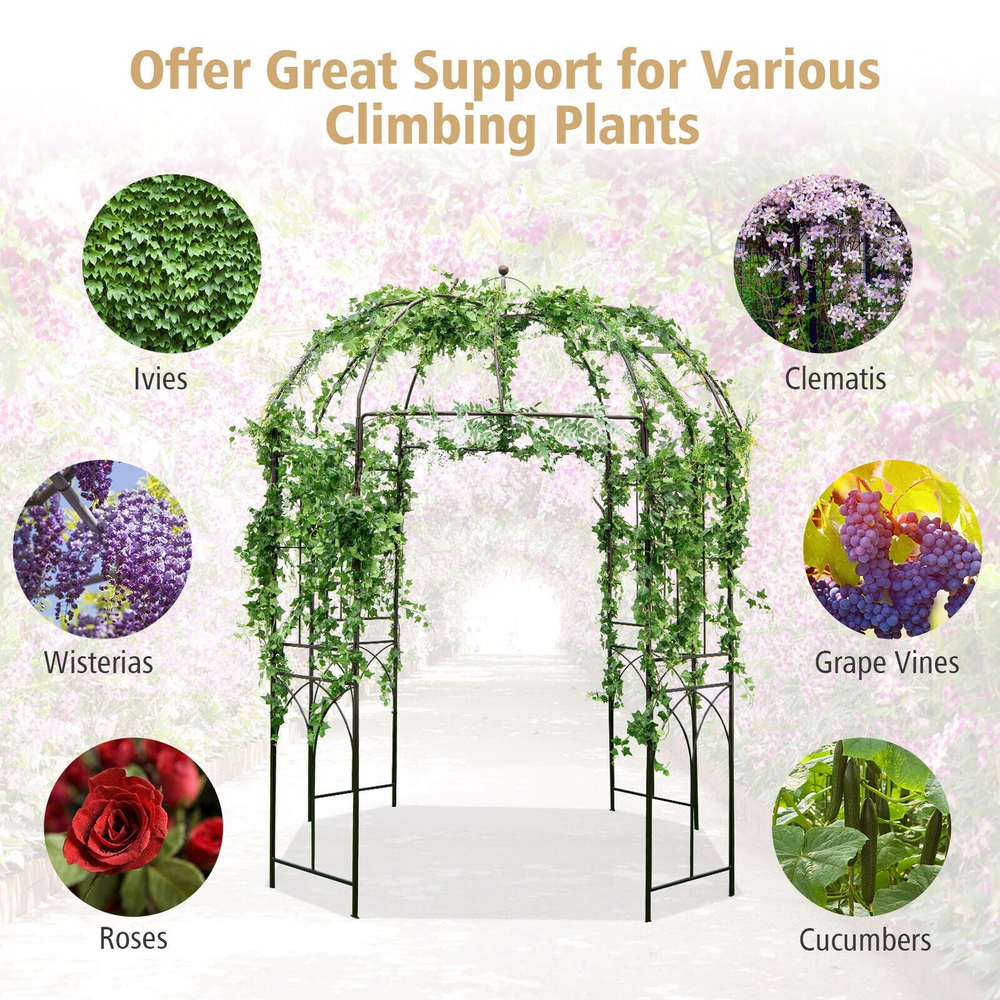 8.4 x 7 Feet Wide Birdcage Shape Garden Arbor with climbing plants including roses and clematis, metal frame, suitable for outdoor use.
