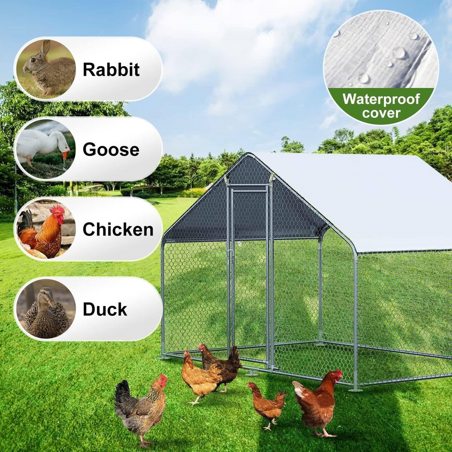 9.8 Ft x 6.5 Ft. Large Metal Outdoor Walk-in Chicken Coop with Waterproof Cover in a green field with chickens.