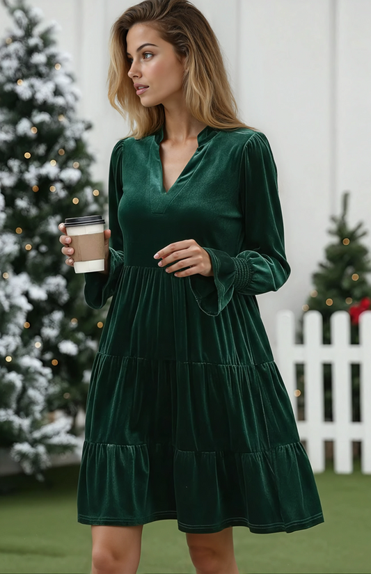 Elegant Velvet Long Sleeve  Solid Color Dress