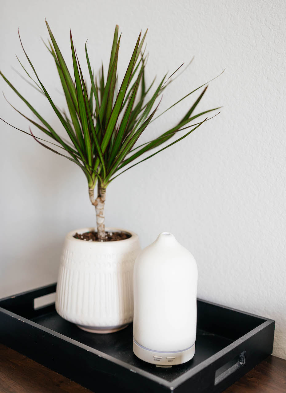 Ceramic Diffuser next to a potted plant on a tray, showcasing elegant aromatherapy for customizable ambiance.