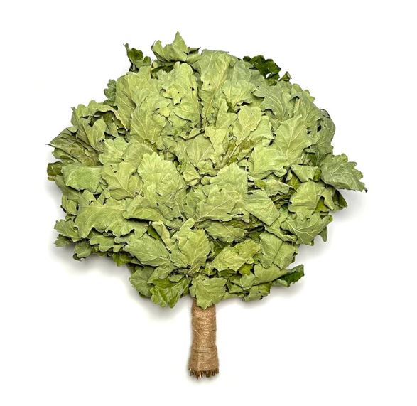 Oak Venik - Whisk sauna tool for cleansing and rejuvenation, made from oak leaves known for vitality and toxin removal benefits.