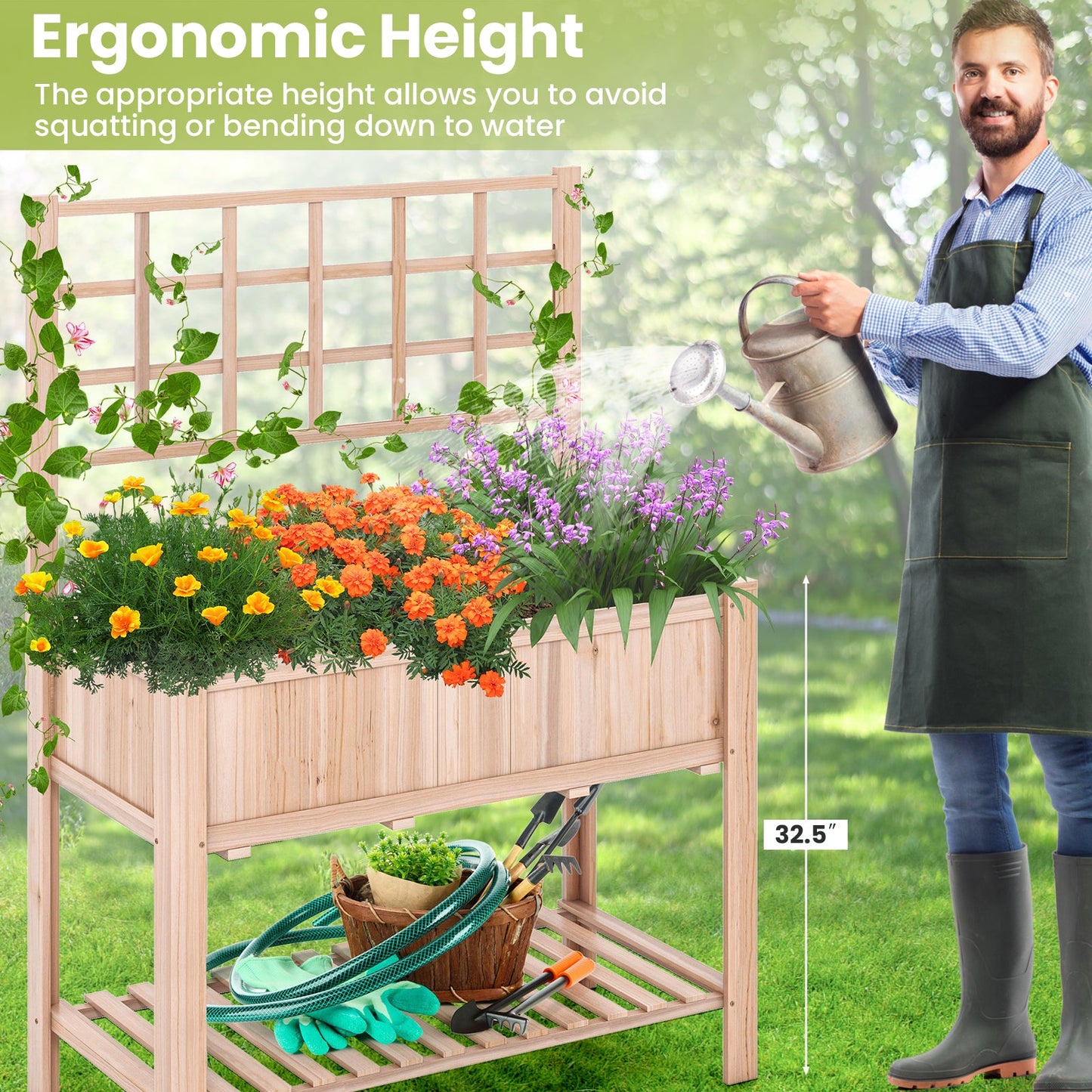 Raised Garden Bed Elevated Wooden Planter Box with Trellis, ergonomic height demonstration with flowers and gardening tools on display.
