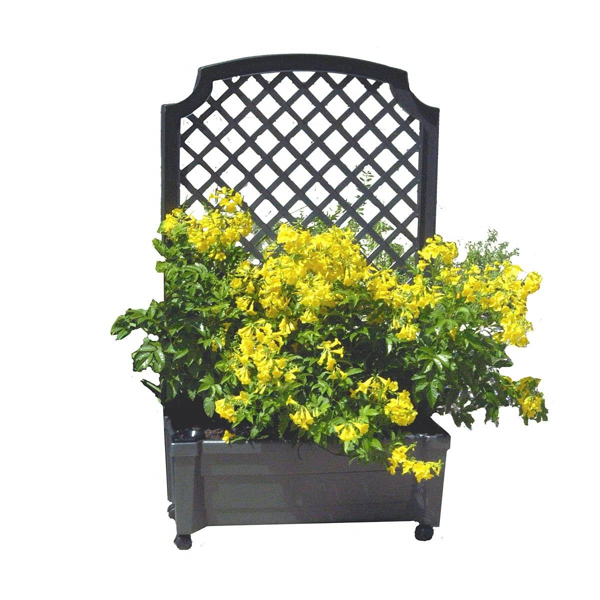 Outdoor Self-Watering Garden Planter with Trellis and Wheels in Grey Plastic holding yellow flowers