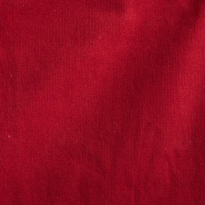 Rich red fabric texture of 5 Pocket Jean Model