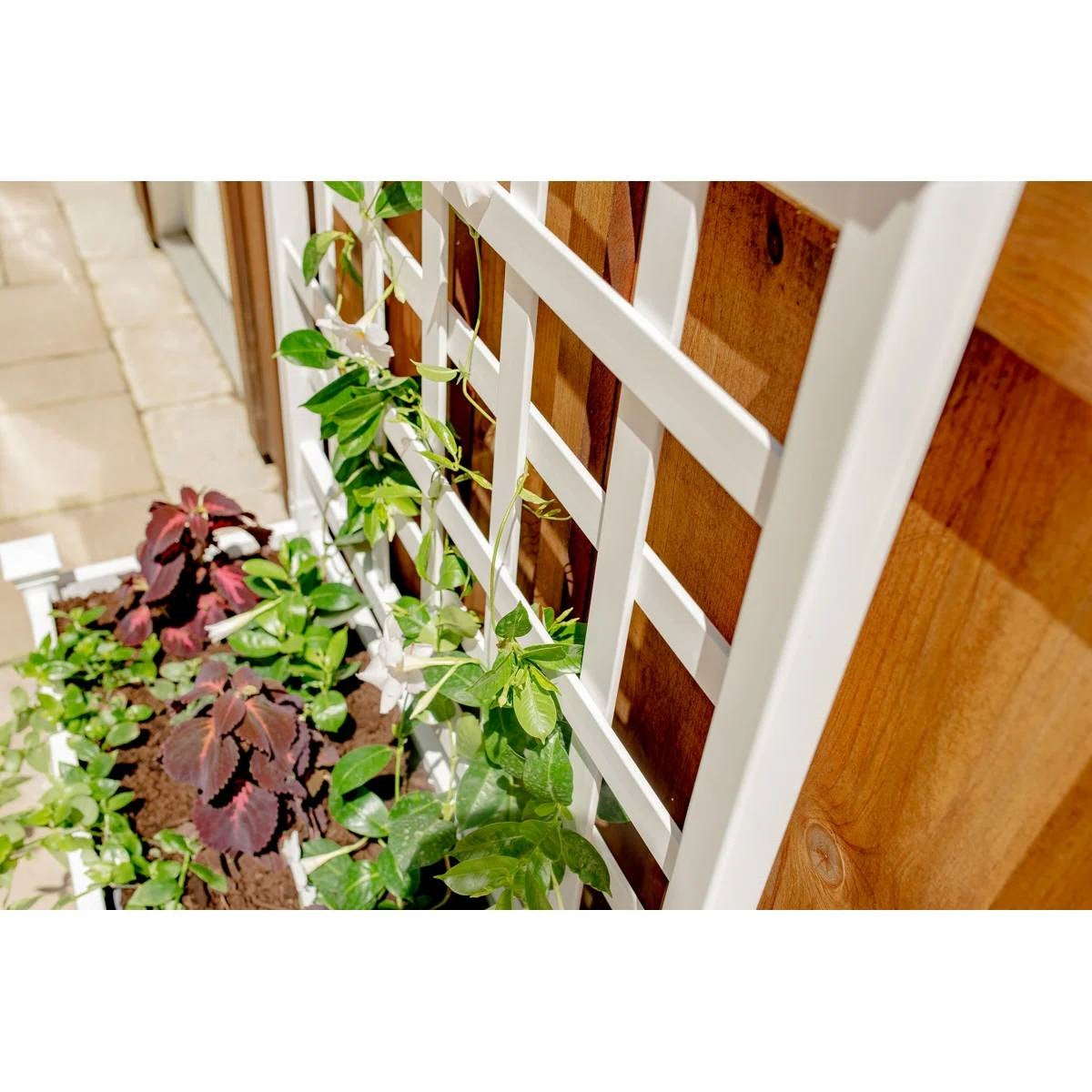 Outdoor White Vinyl Garden Planter Box with Trellis supporting climbing plants