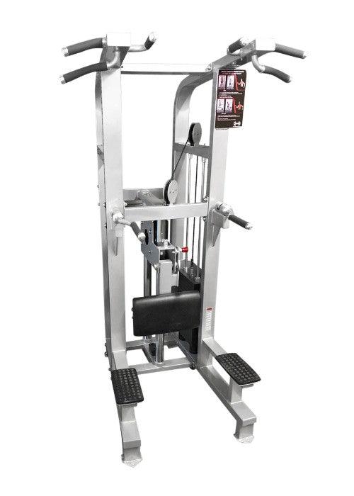 Muscle D Fitness Dual Function Chin-Dip Combo Machine