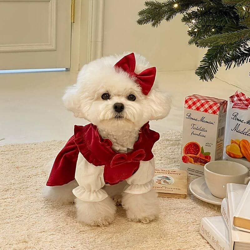 Christmas Pet Dress for Small Medium Dog with red bow under holiday tree, perfect for winter celebrations and photos.