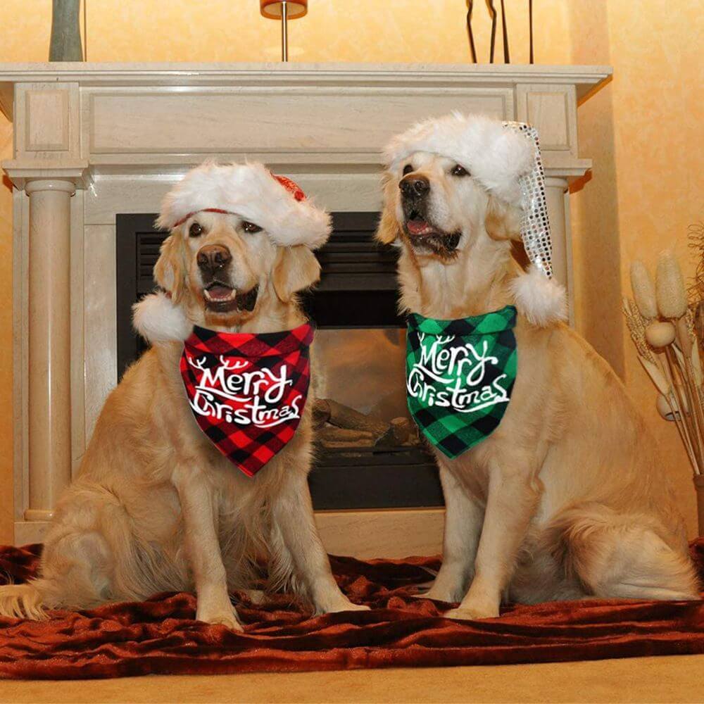 Two dogs wearing Christmas pet Dog Bandana and Collar Bow Tie with Santa hats by a fireplace, showcasing festive holiday style.