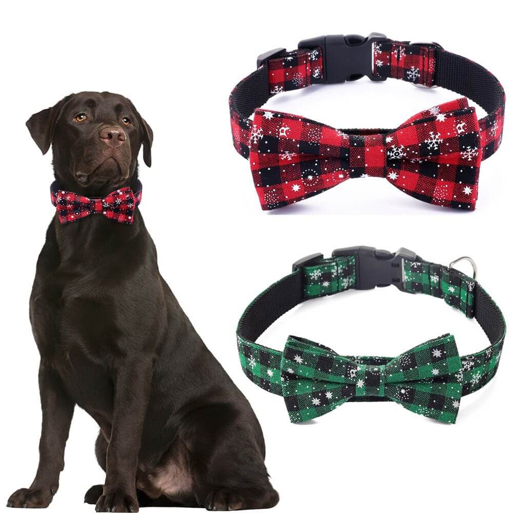 Christmas Dog Collar Snowflake Dog Collar with Bow Tie in red plaid on chocolate Labrador, perfect for holiday fashion.