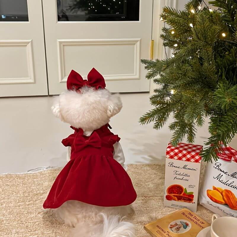 Small dog wearing a red Christmas Pet Dress for Small Medium Dog near a decorated tree and gifts