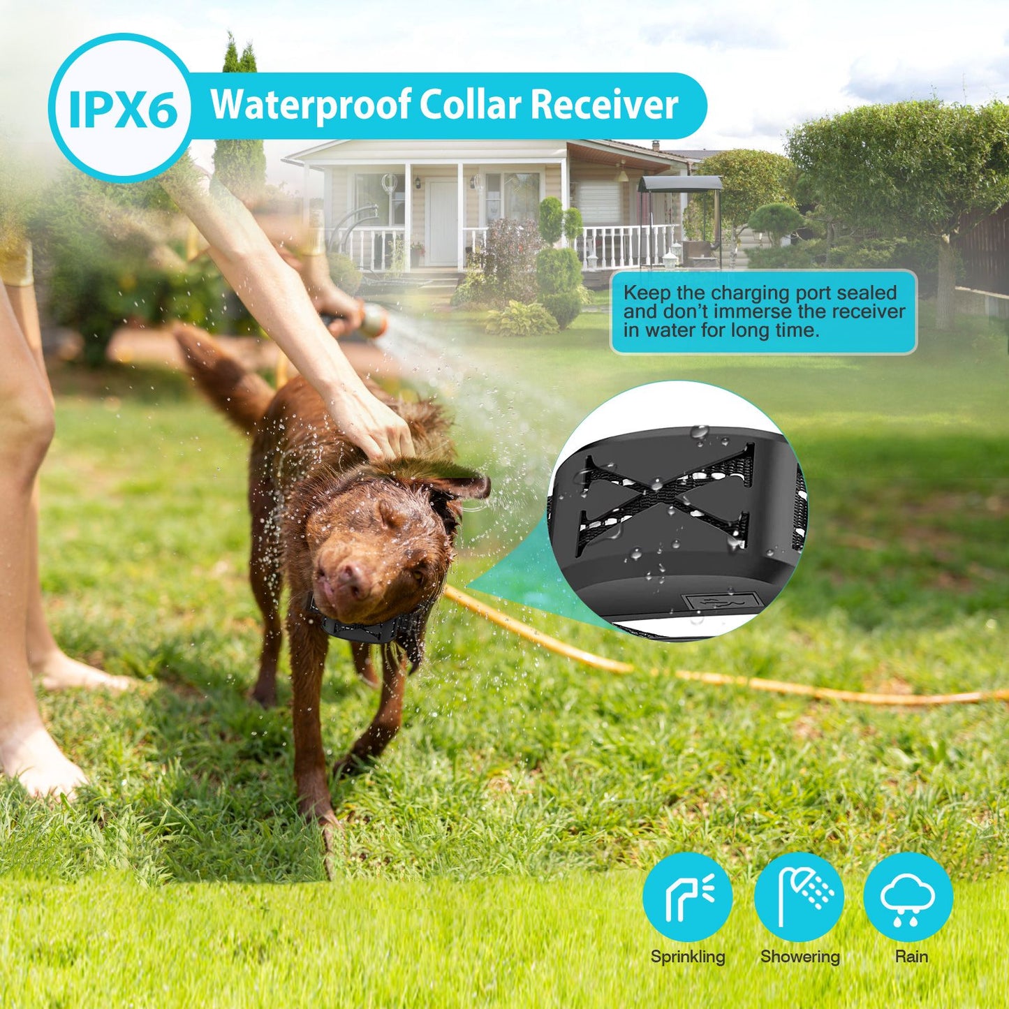 Playful dog wearing IPX6 waterproof electric training collar in yard, showcasing wireless dog fence system's durability and reliability.