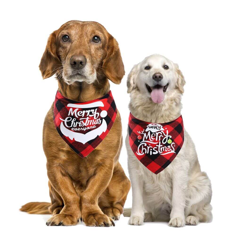 Two dogs wearing Christmas pet Dog Bandana and Collar Bow Tie with Merry Christmas design