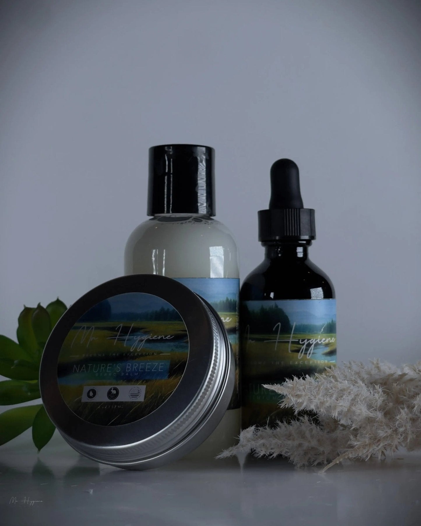 Nature's Breeze Beard Care Kit featuring beard oil, balm, and conditioner for growth, hydration, and styling.
