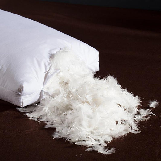 Giovanni Goose Down Pillows Cotton Made Set of 2 with goose down filling spilling out, perfect for a luxurious and modern bedroom.