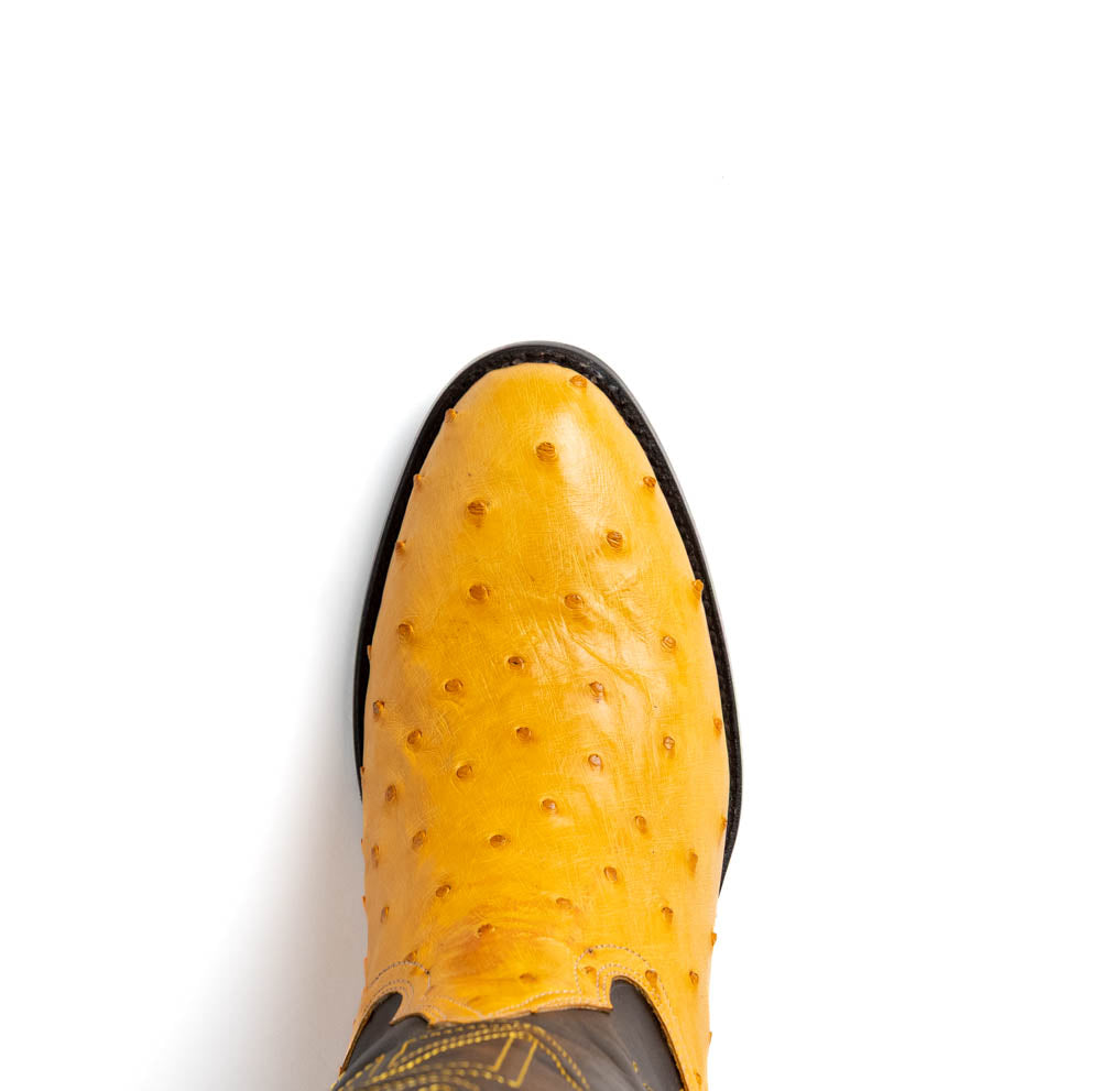 Savannah Buttercup genuine ostrich skin cowboy boot with a round toe and bold color, part of the Western Collection.